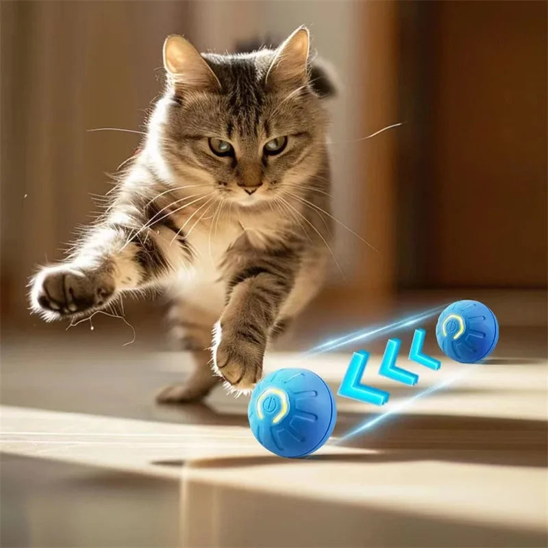 Interactive Pet Bouncing Ball
