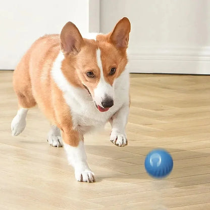 Interactive Pet Bouncing Ball