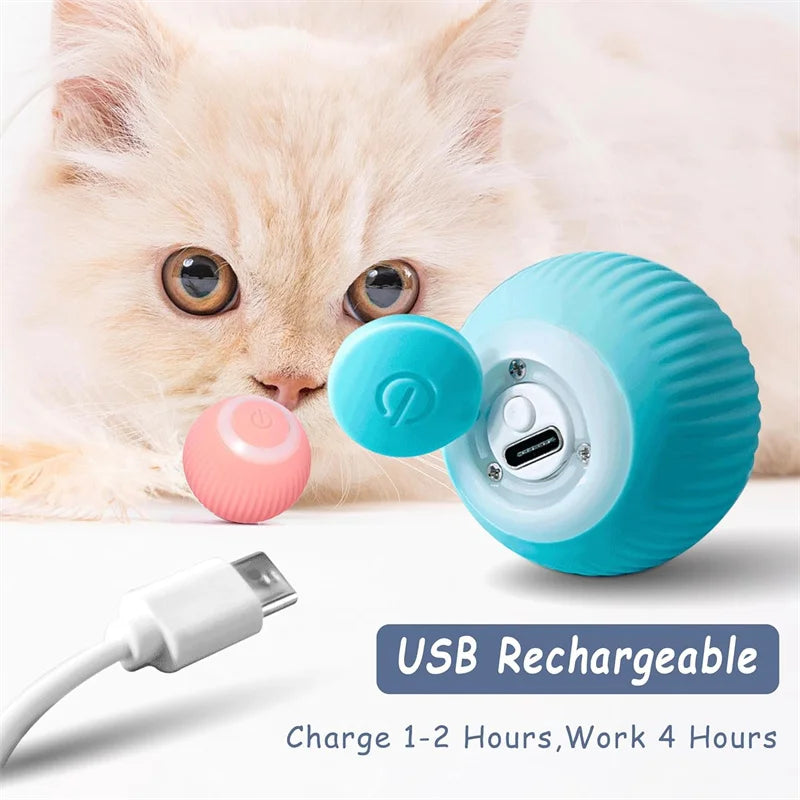 Interactive Pet Bouncing Ball