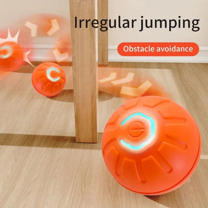 Interactive Pet Bouncing Ball
