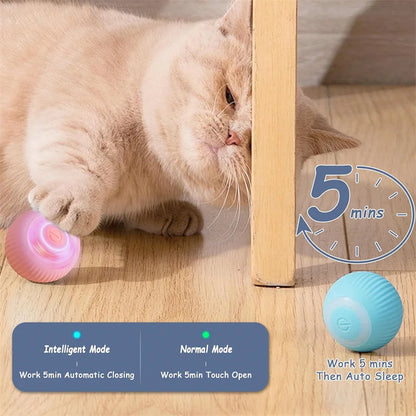 Interactive Pet Bouncing Ball